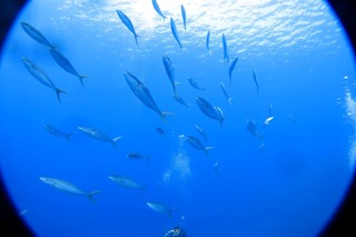 1757359211846711225813