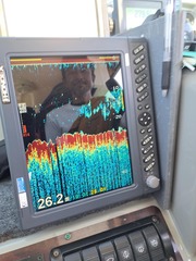 7dea2d5c-82f7-4726-9f4a-041d72a3f687