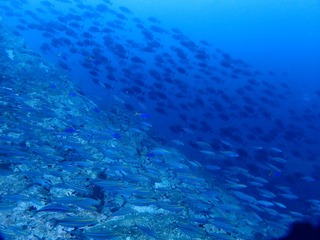 1757359196779-843649354