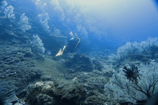 1756077403032552993900