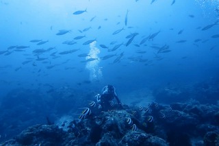 1757912001908-968209620