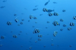 17579119741401770667691