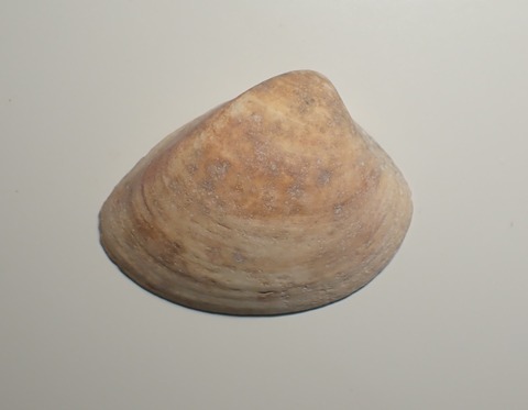 １９３　キルン