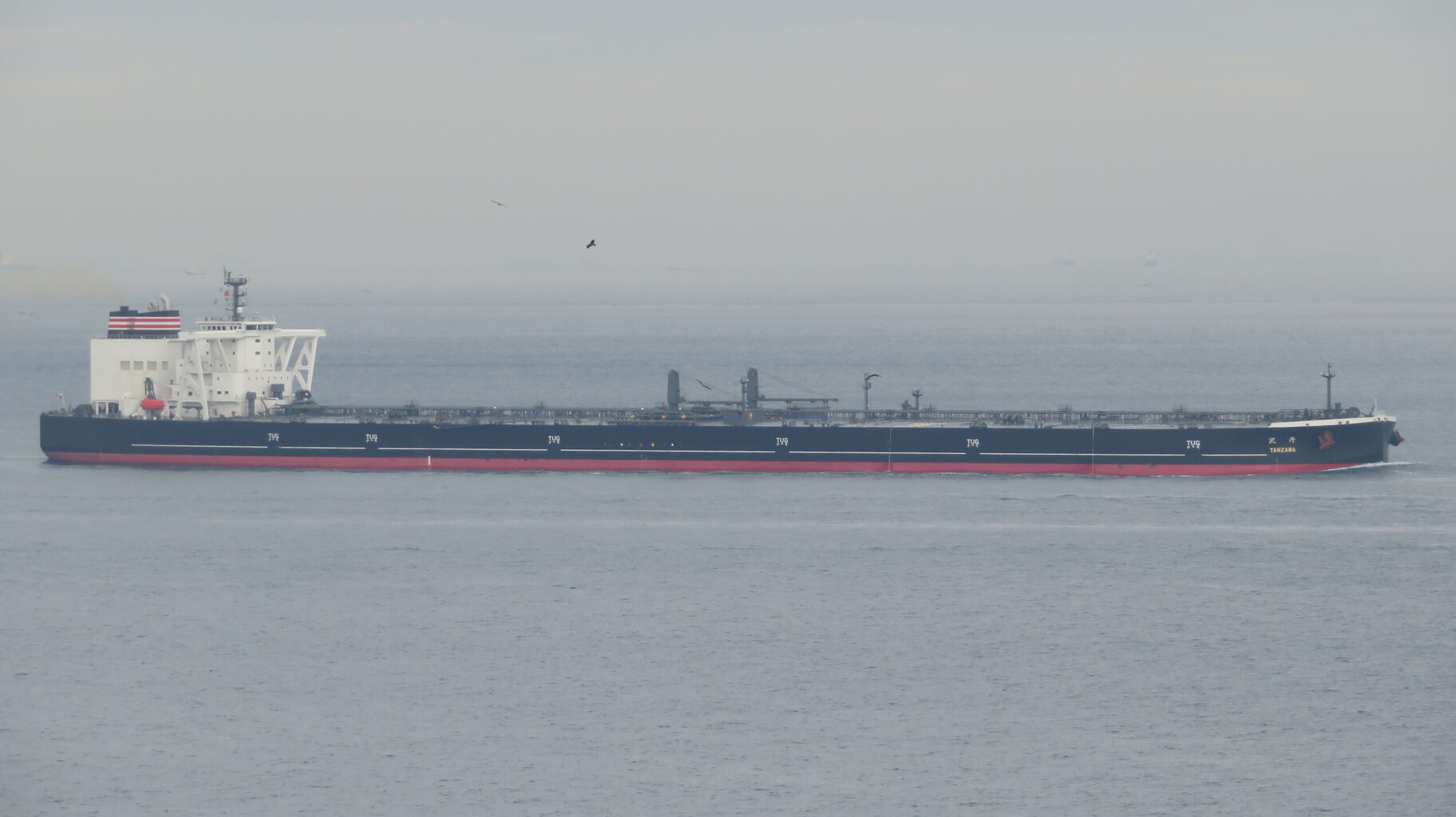 正直在銘　極上鶴にコブラ根付　36g 東Y7-0807⭐︎2Fトヒチサ 法人限定】京セラ 充電式 刈払機 刈払い機 コードレス 36V 刈刃2