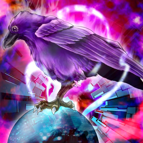 八汰烏 イラスト