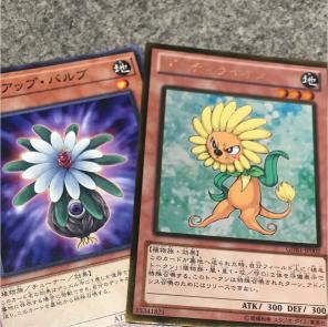 バルブダンディ
