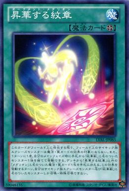[N] ： 昇華する紋章