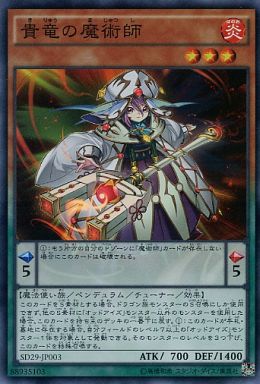 貴竜の魔術師