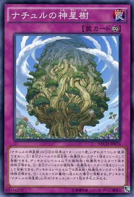 ナチュルの神星樹
