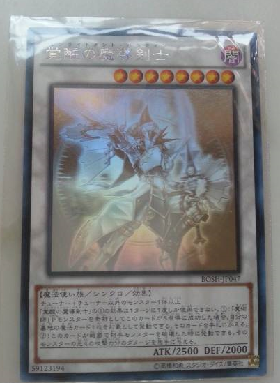覚醒の魔導剣士　ホロ