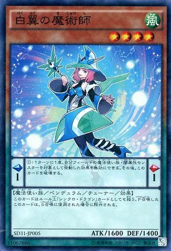 白翼の魔術師