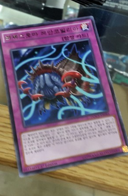バゼストマ・レアンコイリア