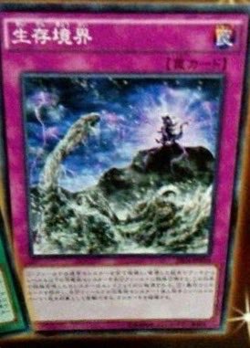 遊戯王 生存境界