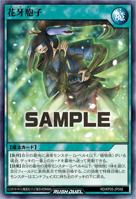 KP05-JP048