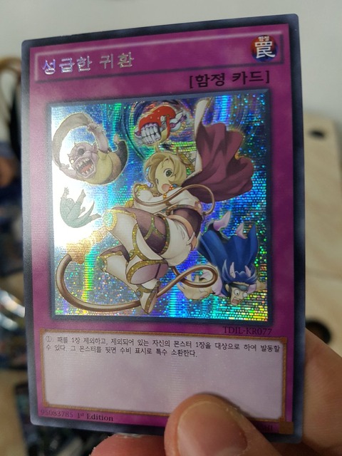 韓国版 早すぎた帰還 シークレット
