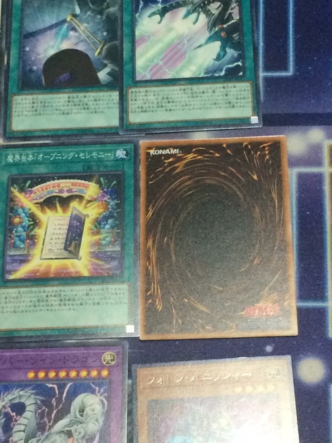 S__256278545