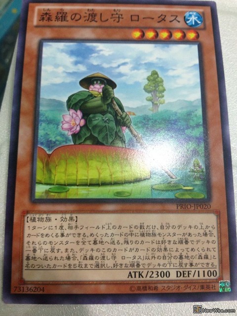 森羅の渡し森 ロータス