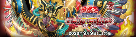キャプチャ