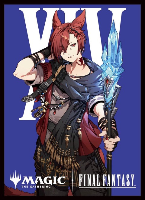 71LHaYrOFcL._AC_SL1268_