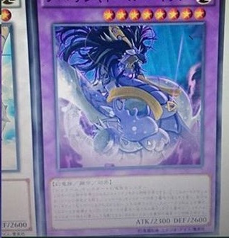 シャドール ショウフク