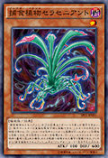 捕食植物セラセニアント