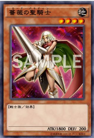 薔薇の聖騎士(ローズ・パラディン)