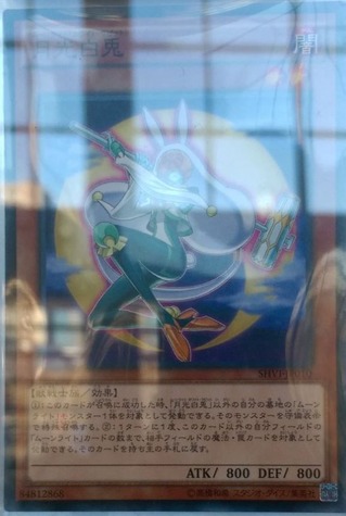 月光白兎(ムーンライト・ホワイト・ラビット