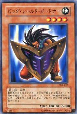 ビッグ・シールド・ガードナー