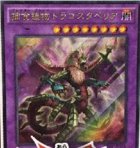 遊戯王OCG 捕食植物ドラゴスタペリア