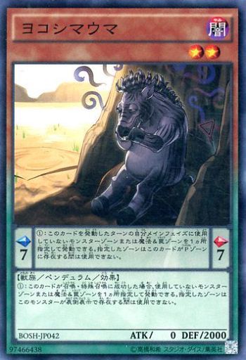 ヨコシマウマ
