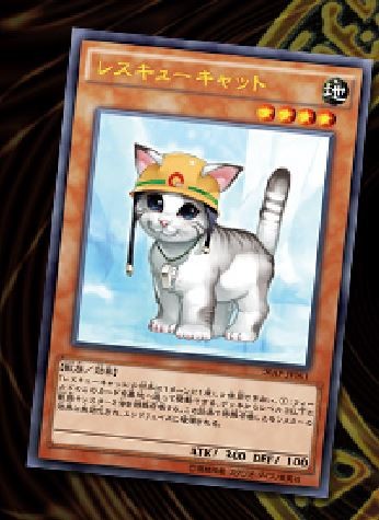 レスキューキャット