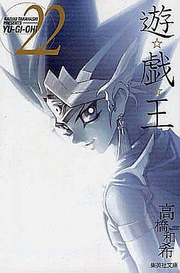 遊☆戯☆王(文庫版) 全22巻セット