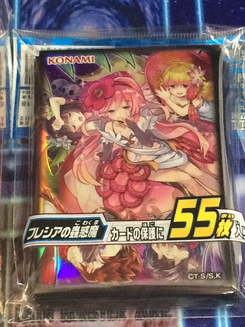 S__239329284