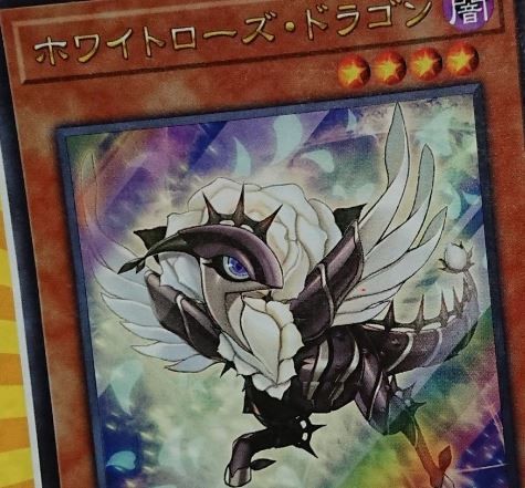 遊戯王　ホワイトローズ・ドラゴン