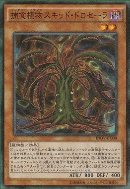 捕食植物スキッド・ドロセーラ