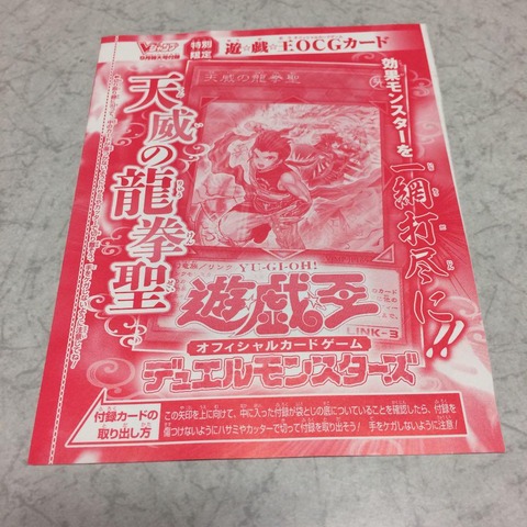 天威の龍拳聖