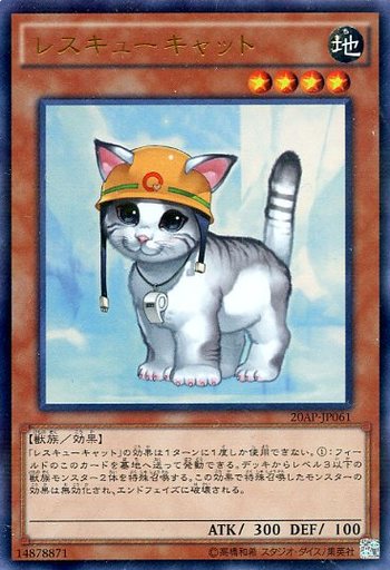 レスキューキャット