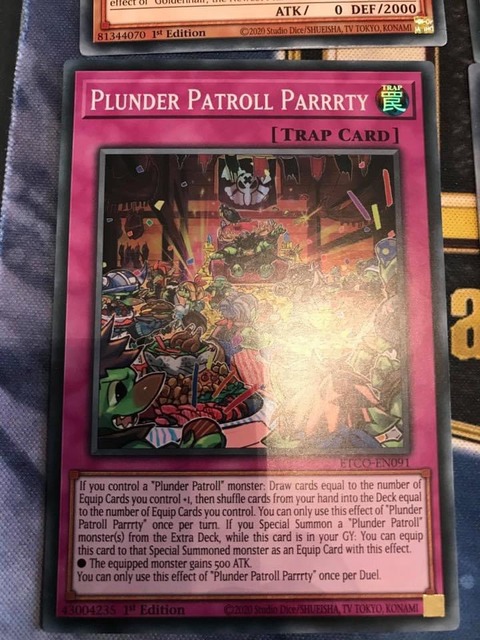 Plunder Patroll Parrrty