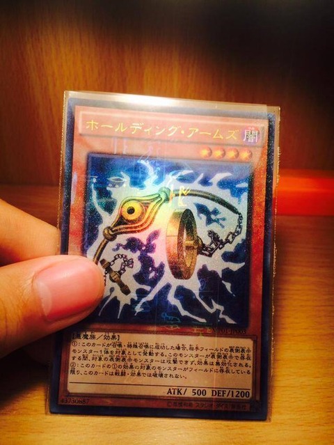 ホールディング・アームズ