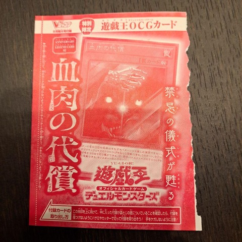 血肉の代償