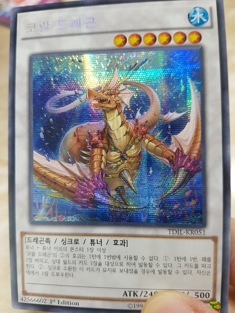 韓国版 瑚之龍 シークレット