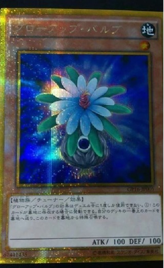 ゴールドパック2016　グローアップバルブ