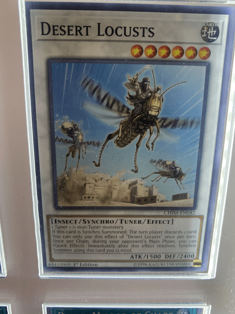 Desert Locusts