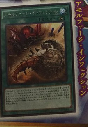 アモルファージ・インフェクション