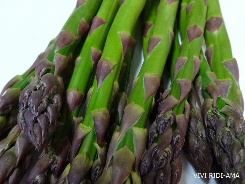北海道美瑛 グリーンアスパラガス Asparagus Vivi Ridi Ama