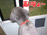 高いな