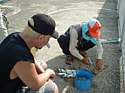 魚