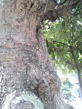 80a0c796.jpg