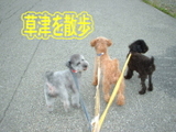散歩
