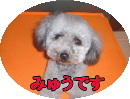 myuuko